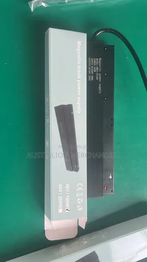 Magnetic Light