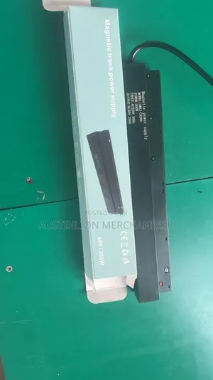 Magnetic Light