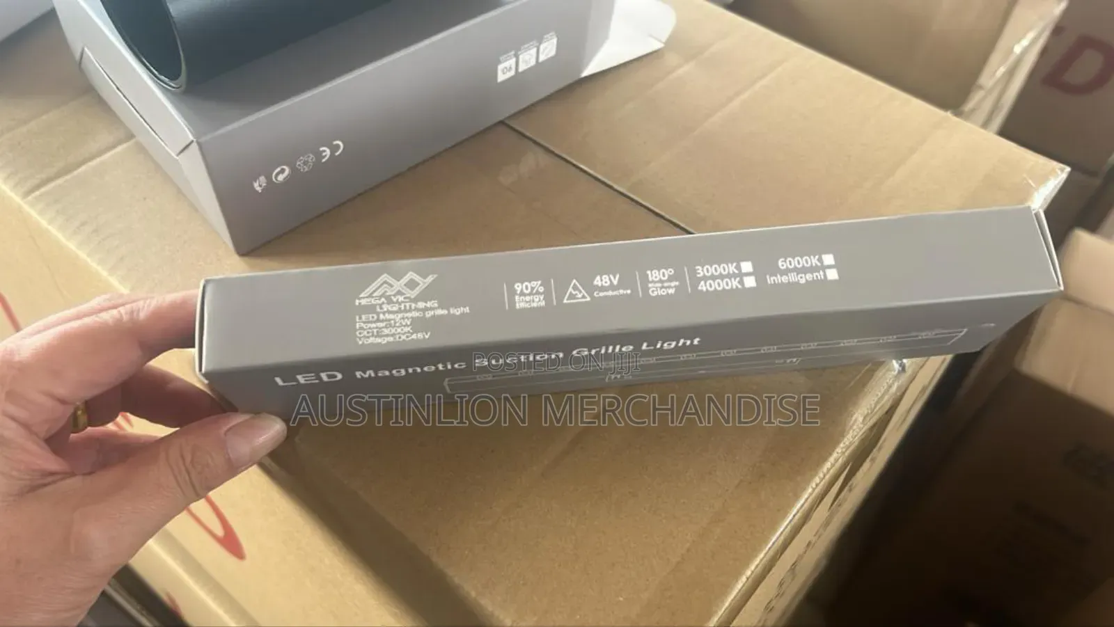Magnetic Light