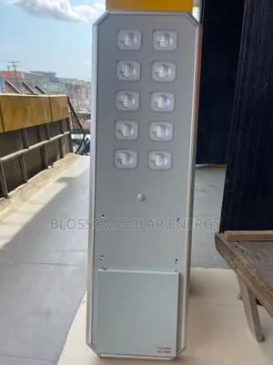 Original 10eye 100w D2 Foresolar Street Light
