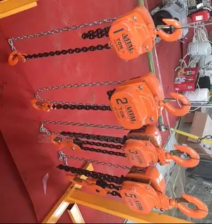 Original 1t Vital Chain Block/Hoist