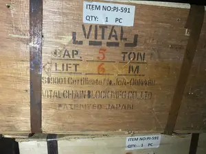 Original 5t*6m Vital Toyo Chain Block