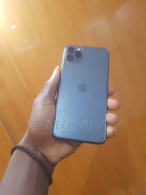 Apple iPhone 11 Pro Max 256 GB Gray