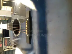 Acoustic Guitar