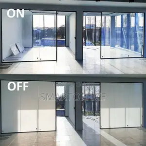 Smart Glass