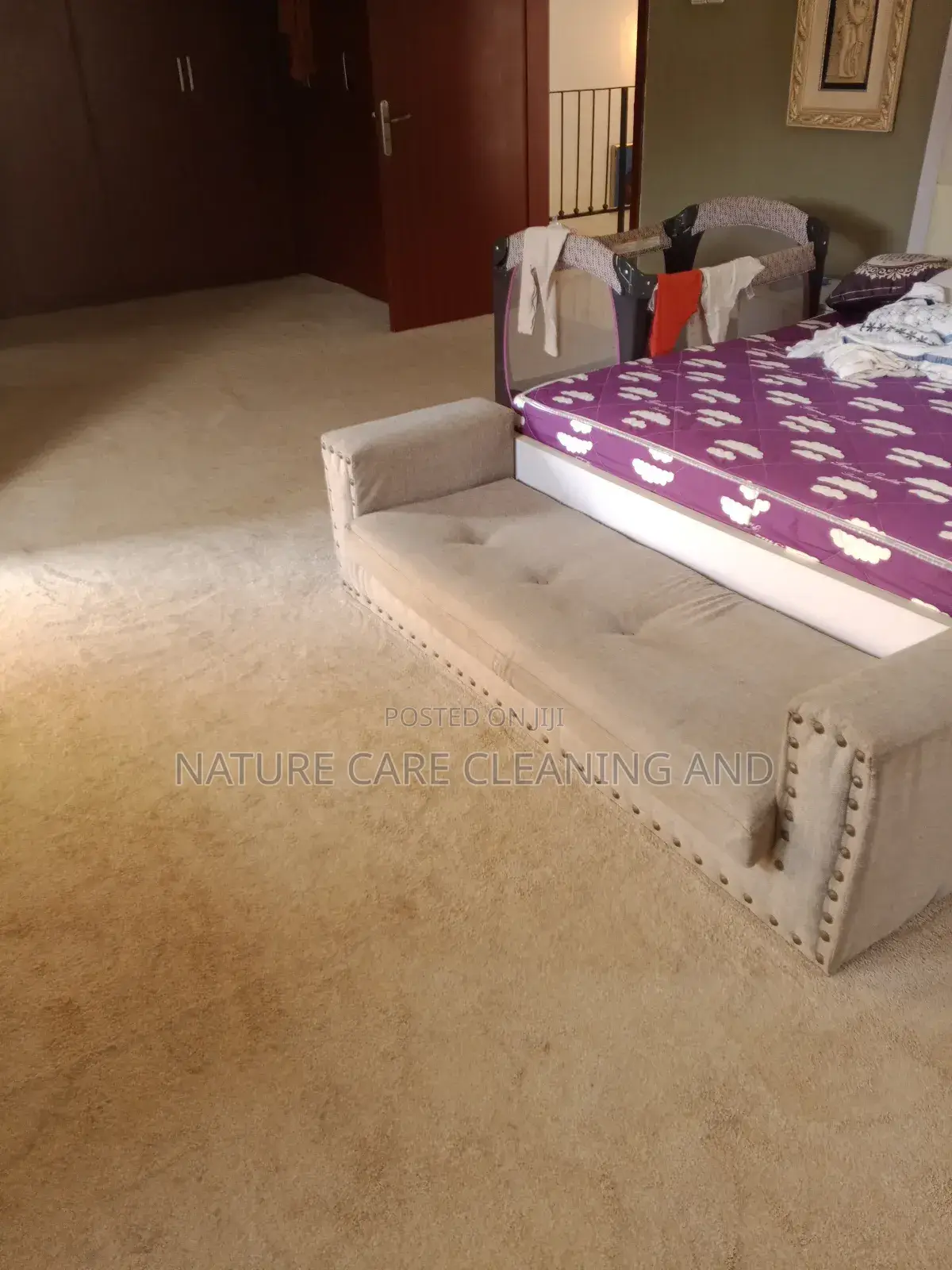 Clean Up Rugs/Carpet