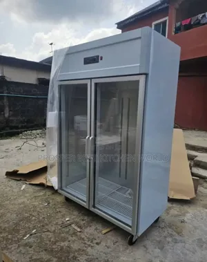 Standing Stainless Body Industrial Show Case Freezer