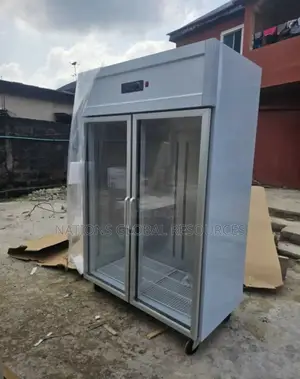 Standing Stainless Body Industrial Show Case Freezer