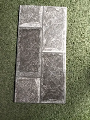 25x50 High Quality Goodwill Outside Walls Tiles 