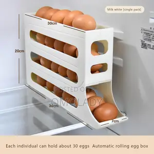 Egg Storage Organizer