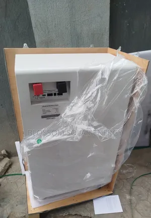 Strong Long Lasting Lithium Ion 15kw 51.2v Battery