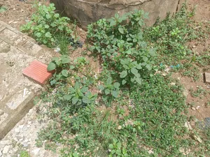 600sqm Plot Off Otumba Bamidele Governor's Rd Ikotun