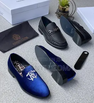 Classic Luxury Blue and Black Shoe