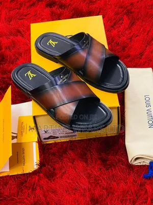 Photo - Louis Vuitton and Berluti Original Slippers
