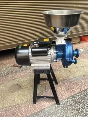 Wet and Dry Electric Grinder Stainless
