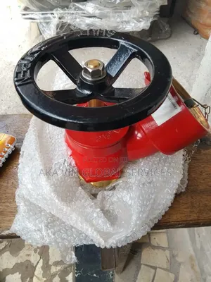 2 1/2" Screw Landing Valve
