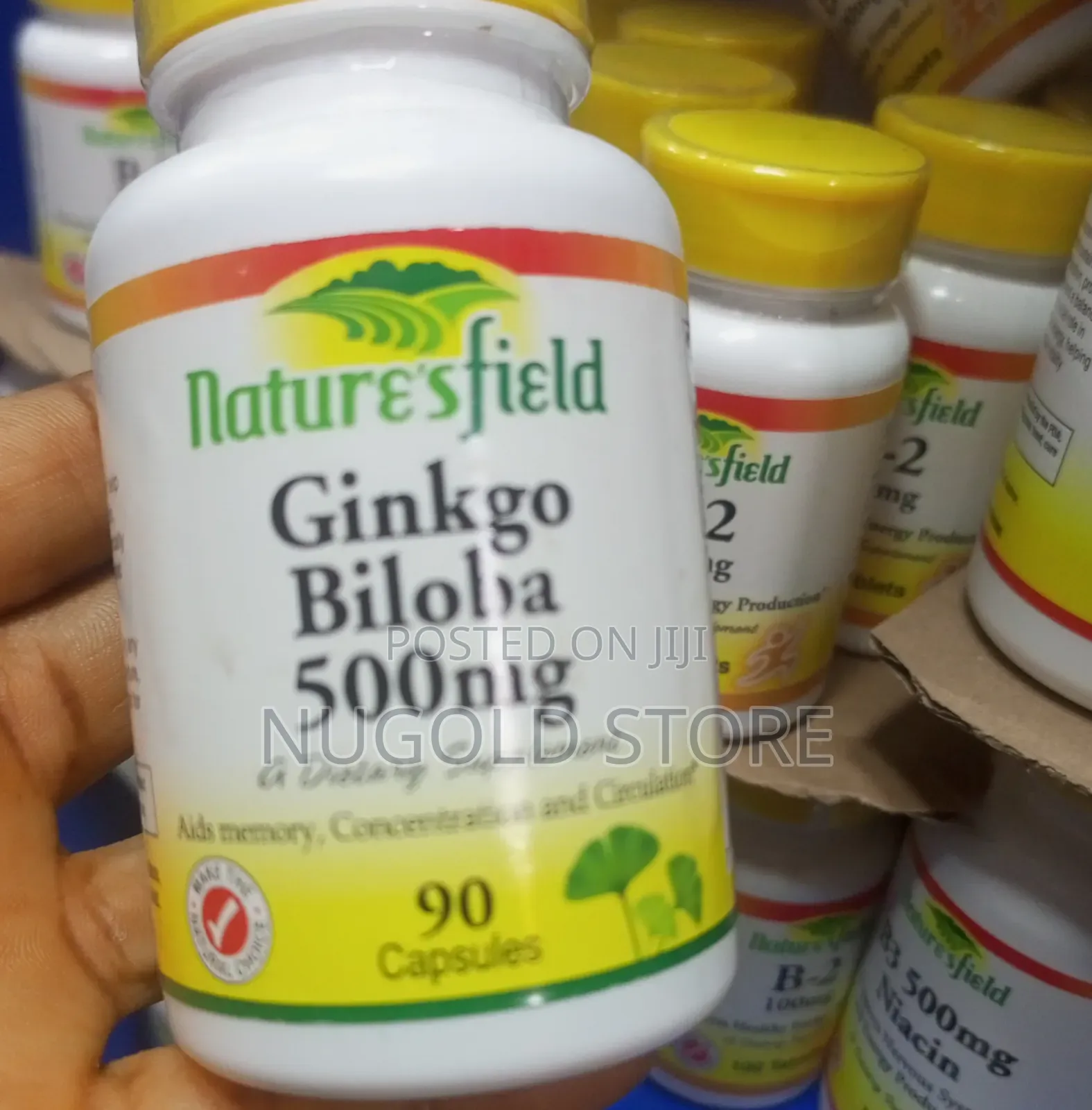 Nature's Field Ginkgo Biloba 500mg X 90 Capsules