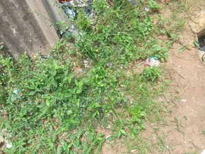Full Plot Ijegun New Road 10% Initial Deposit Install Mental
