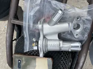 Ford Escape 1.6l Turbo Thermostat