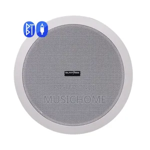 Active Bluetooth Ceiling Speaker