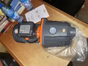 Leo Water Pump