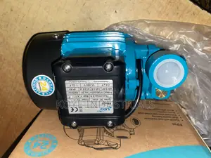 Leo Water Pump