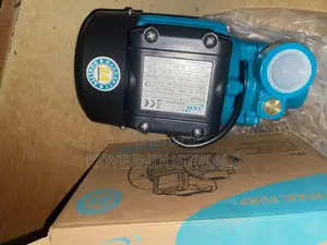 Leo Water Pump