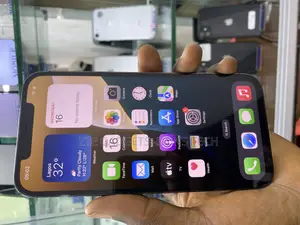 Apple iPhone 12 Pro Max 256 GB Blue