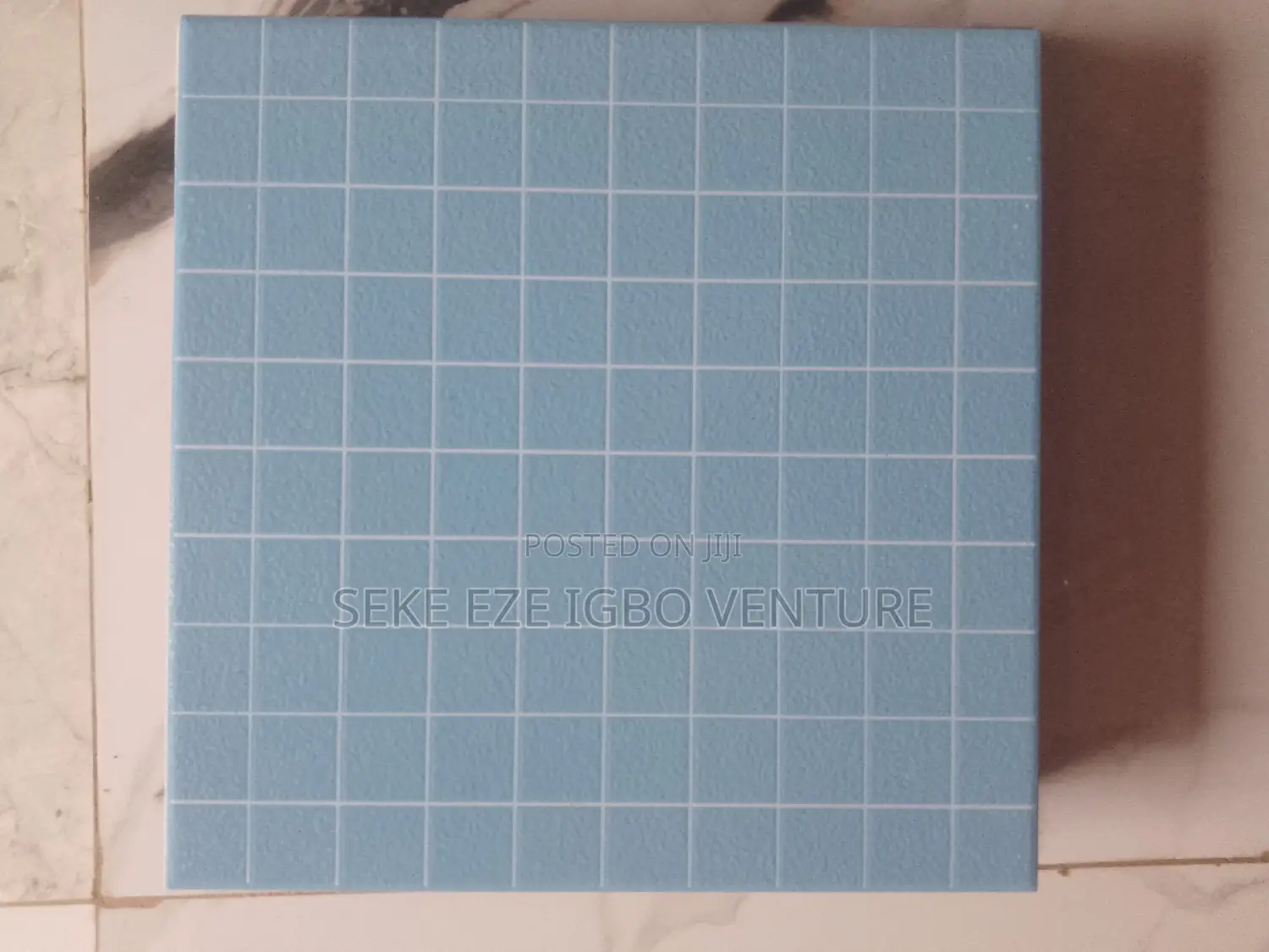 Swimming Pool Tiles