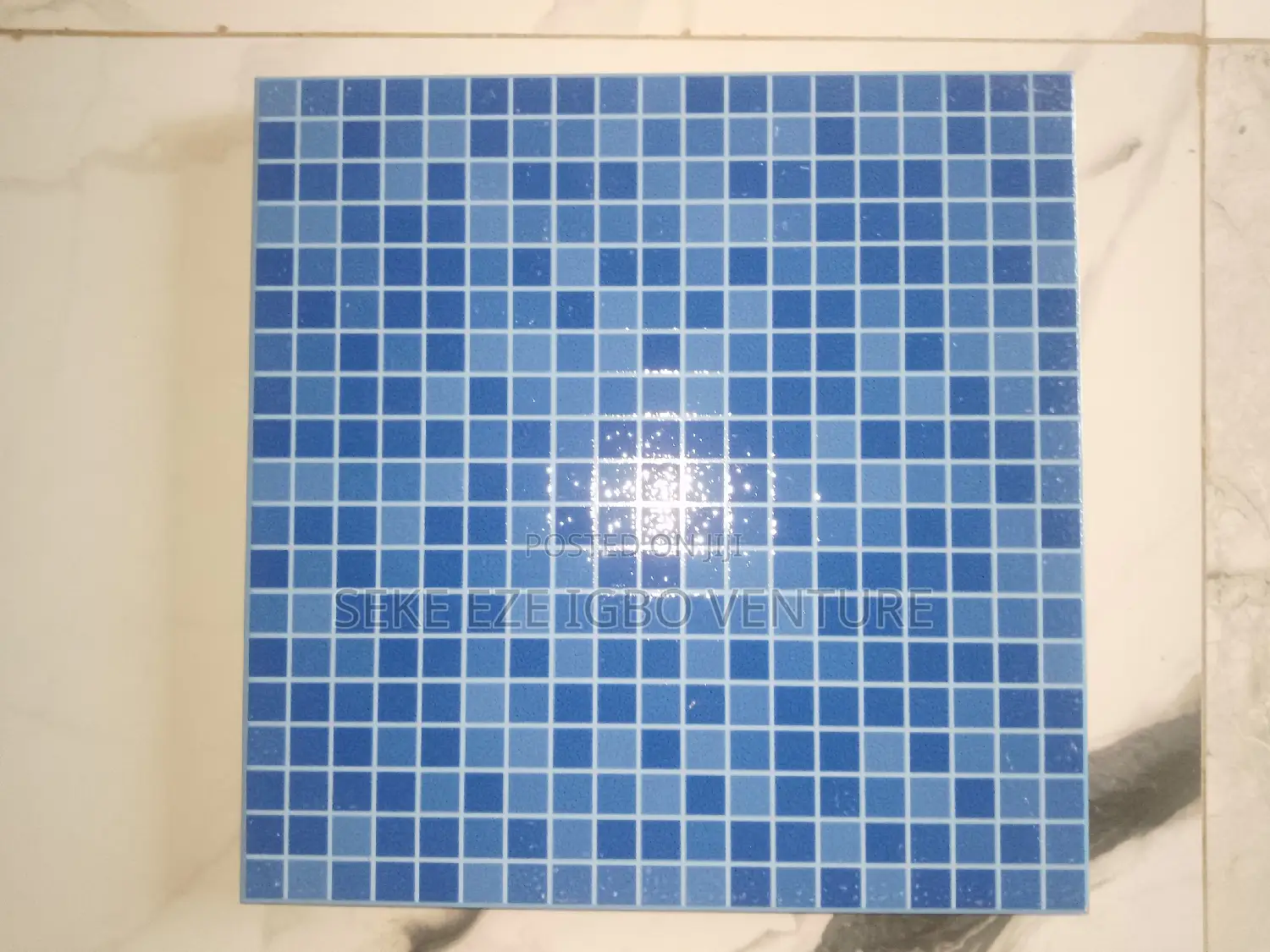 Swimming Pool Tiles