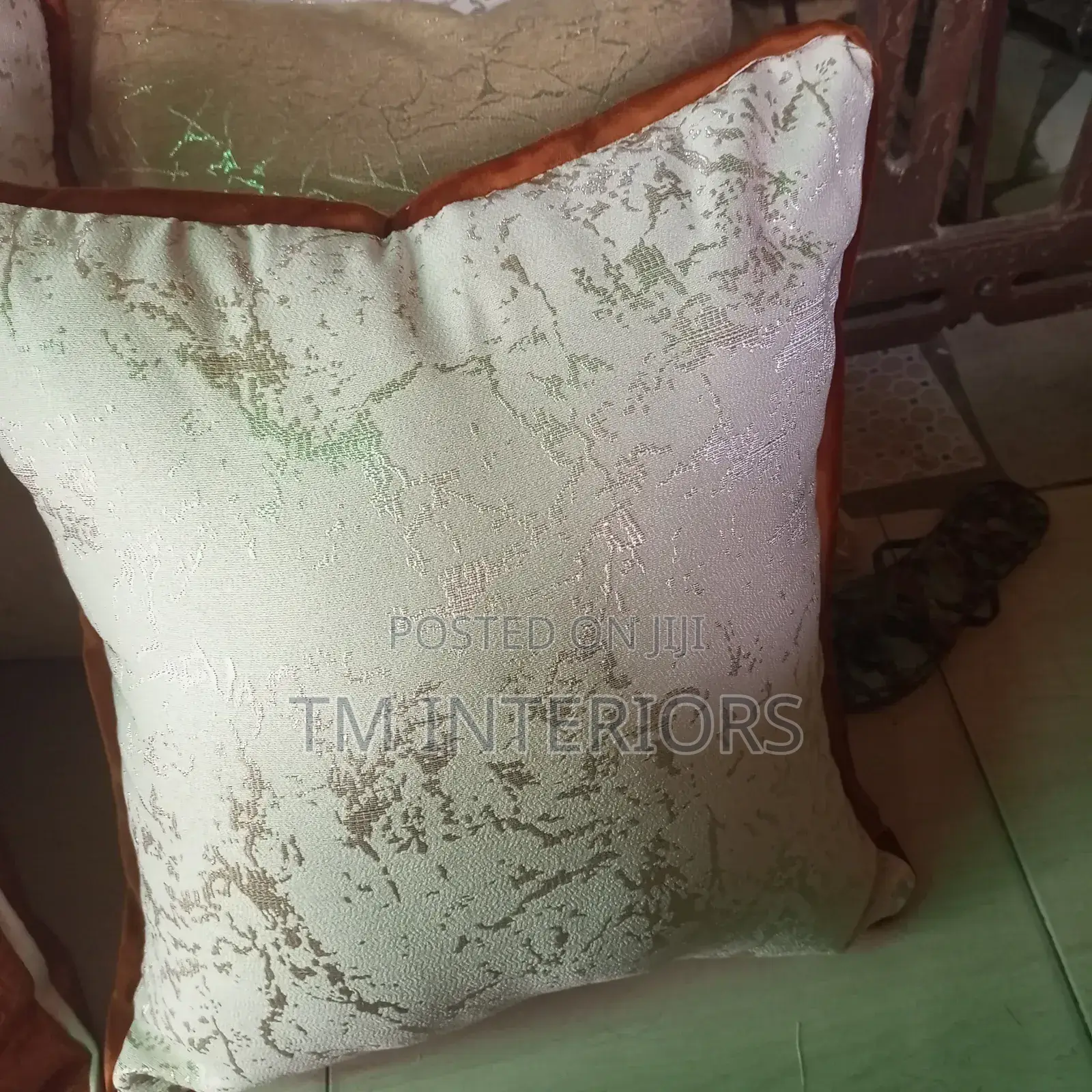 Tm Interiors Beautiful Throw Pillows
