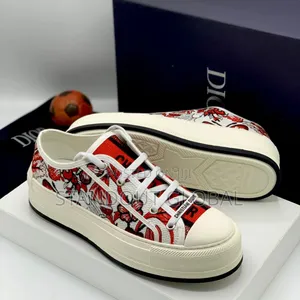 Top Class Dior Sneakers