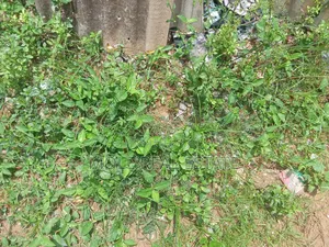 979sqm Plot 4 Sale Ben Okagbue Leki Phase 1