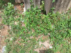 1000sqm Plot Ayinde Akinmade Off Admiralty Leki