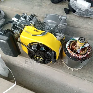 Half Engine/Coil (Copper)Of Generator Ec3000