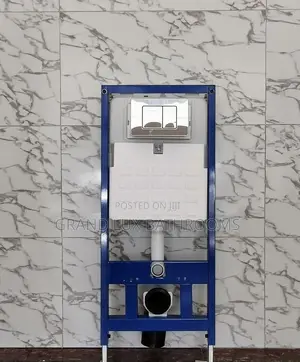 Luxury White Concealed Wc