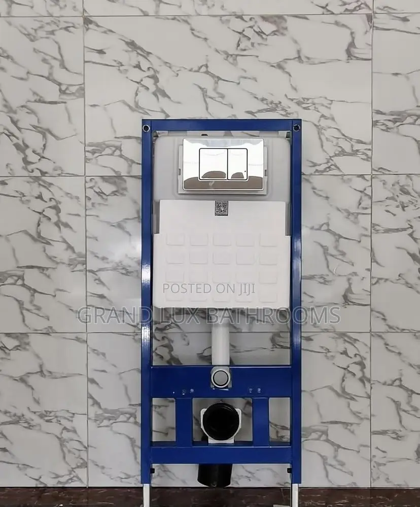 Luxury White Concealed Wc