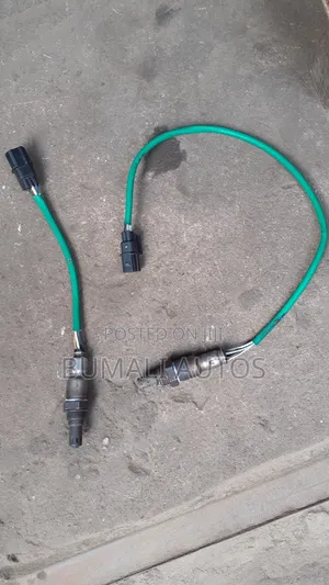 Oxygen Sensors Available