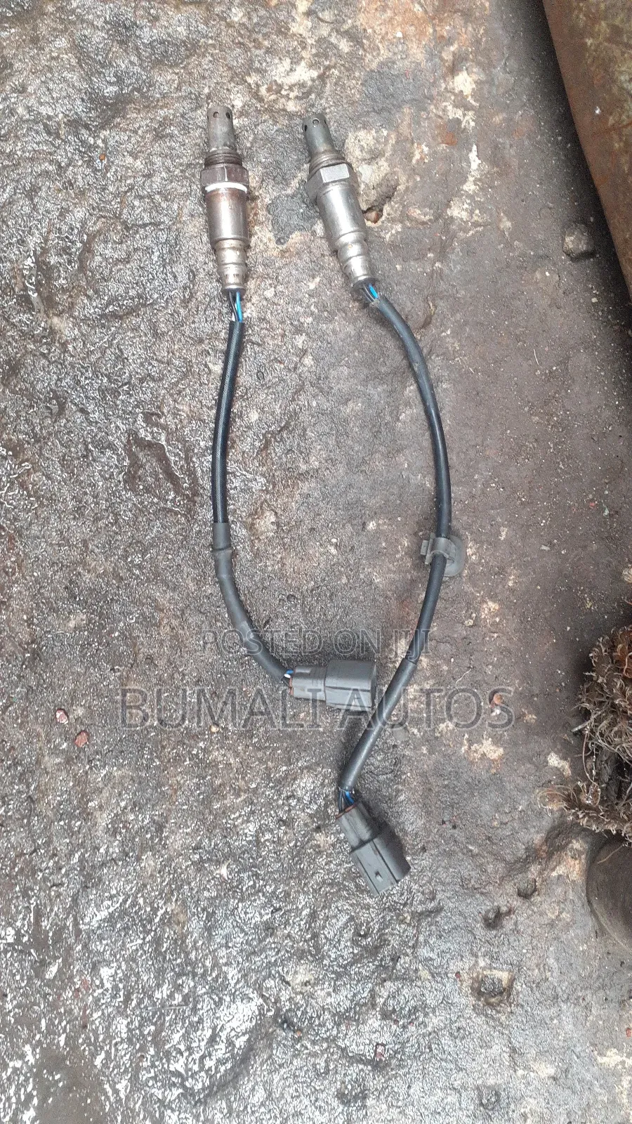 Oxygen Sensors Available