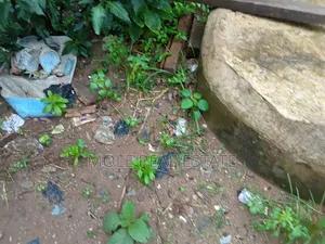 Photo - 500sqm Plots Ikotun Egbeda Alimosho