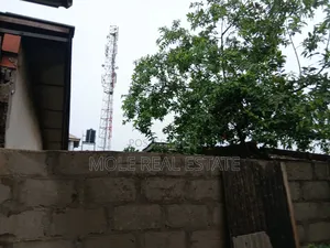 40 Acers Near Nestle Factory Sagamu Ogun