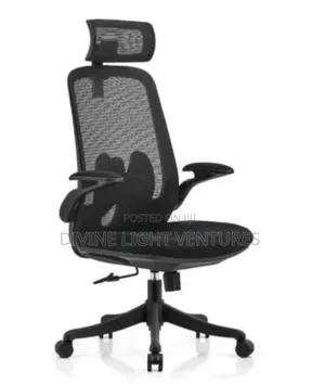 Ergonomic Swivel Chair