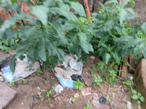1264 SQM Plot Musa Yardua Cresent Victoria Island