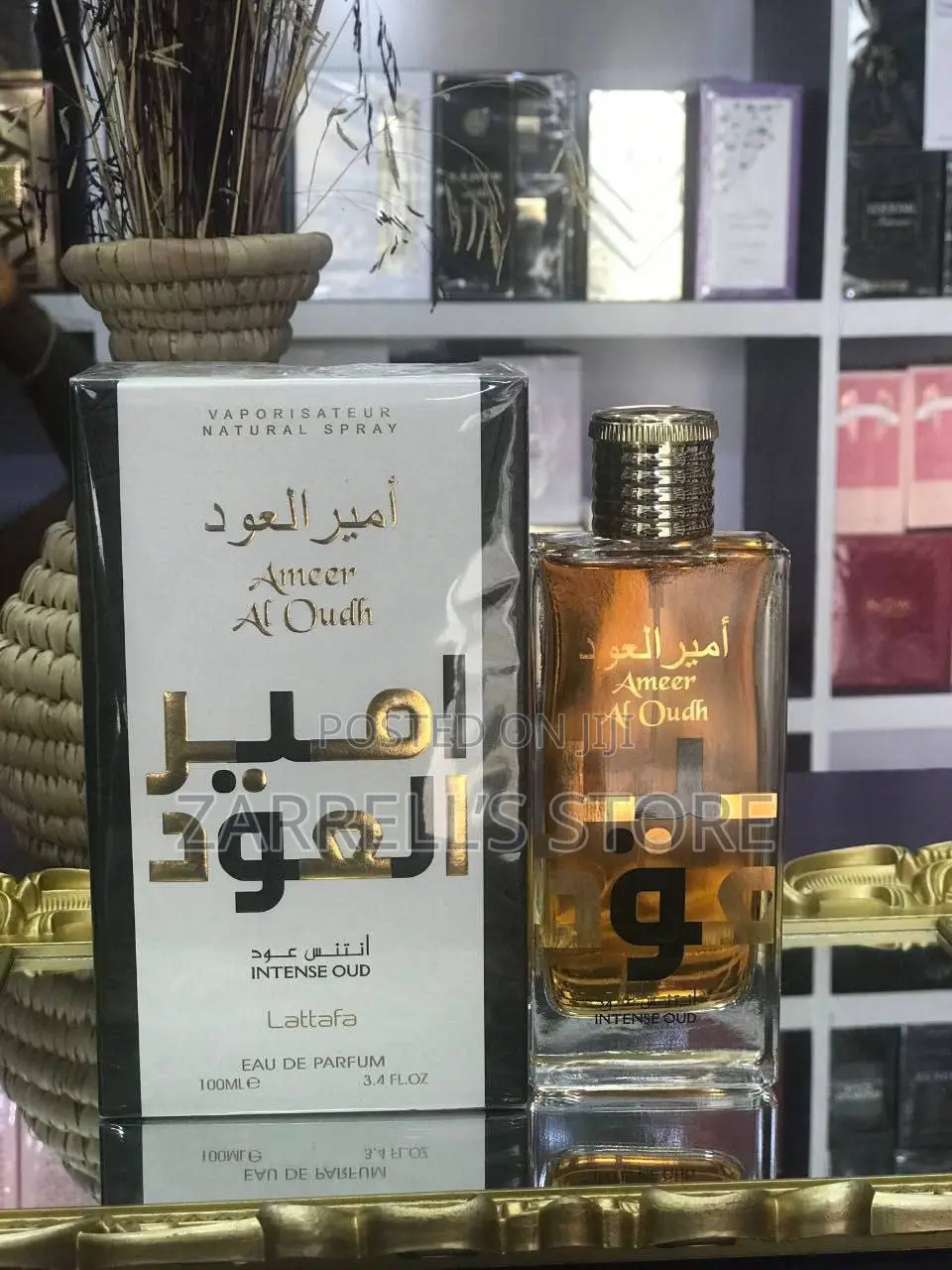 Ameer Al Oudh
