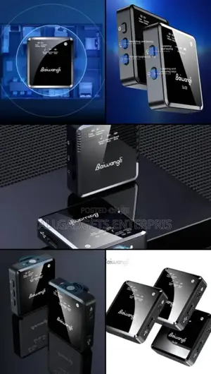 Baiwangli Sx39 Wireless Microphone