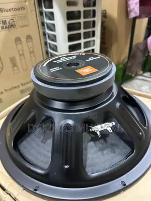 JBL Naked 15 Inches Speaker Magnet