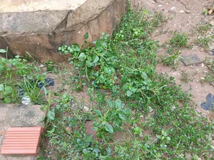4348 SQM Adeola Odeku Victoria Island