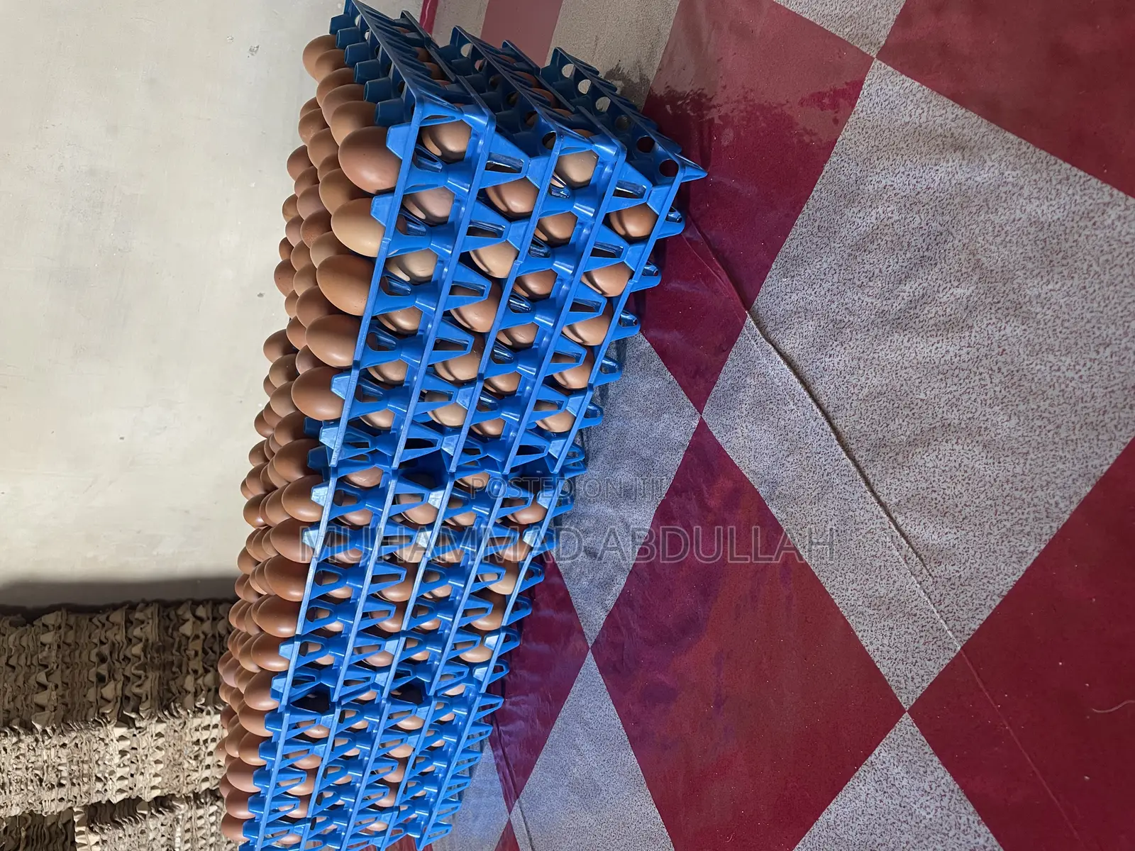 Eggs Crates of Egg