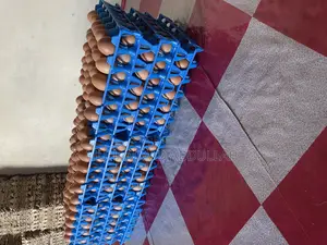 Photo - Eggs Crates of Eggs