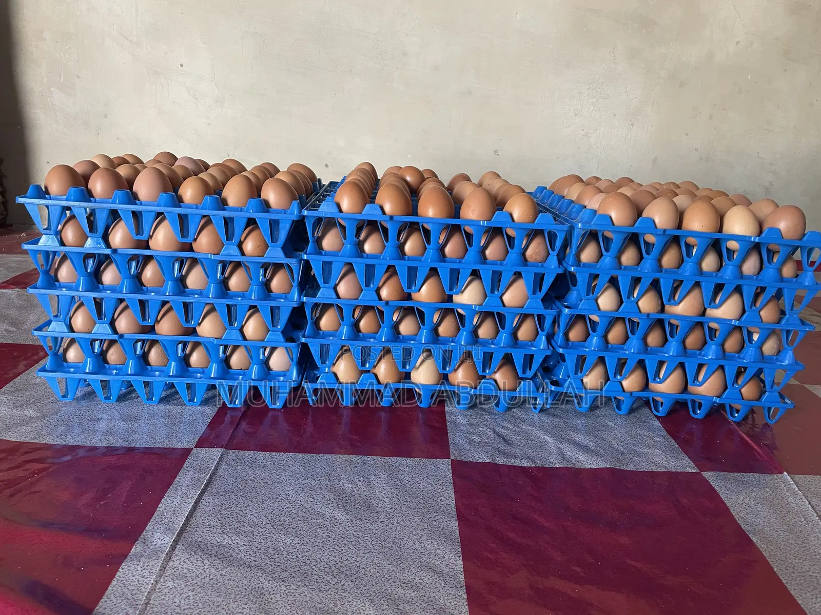 Eggs Crates of Egg